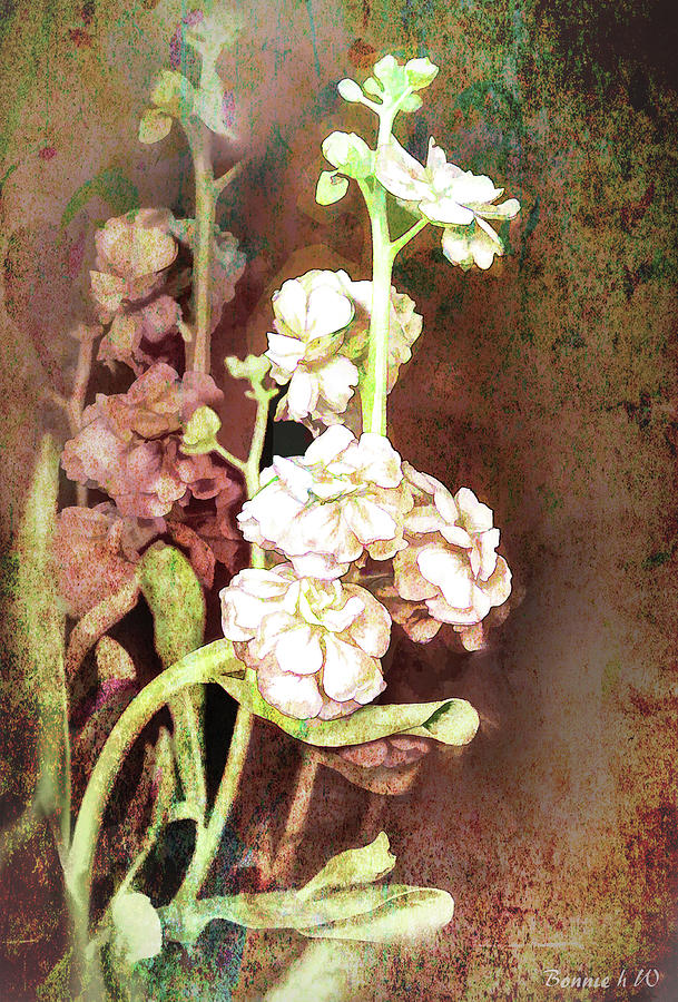 Grungy floral bouquet Digital Art by Bonnie Willis