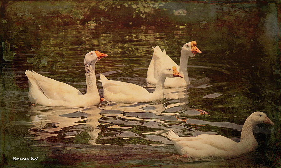 Grungy Chinese Geese Digital Art by Bonnie Willis