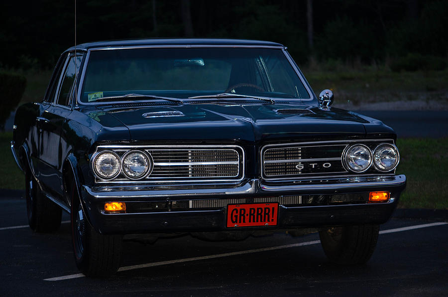 GTO Photograph by Linda Howes