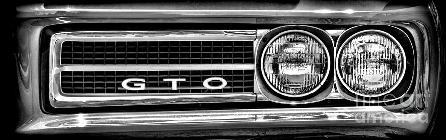 GTO Photograph by Olivier Le Queinec