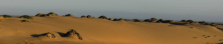 Guadalupe Dunes Photograph by L J Oakes
