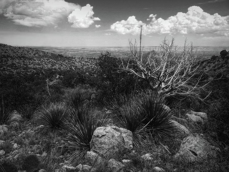 Guadalupe Mountain View Photograph by Linda Unger