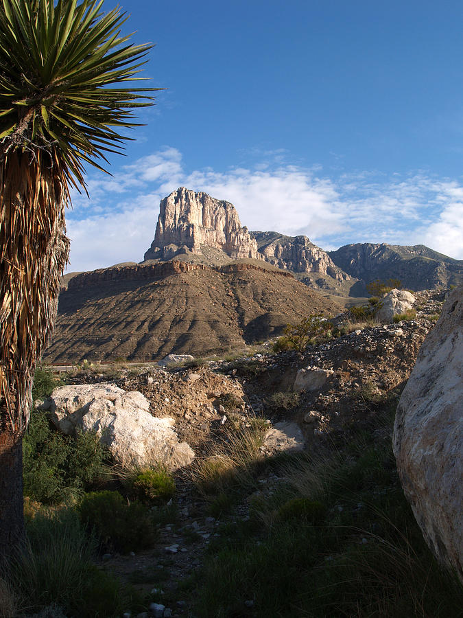 Guadalupe Peak Photograph by Bill Hyde