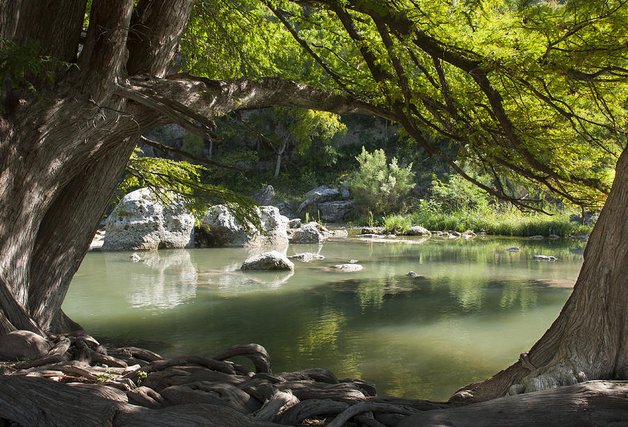 River Photograph - Guadalupe River by Brian Kinney River Photograph - Guadalupe River by Brian Kinney