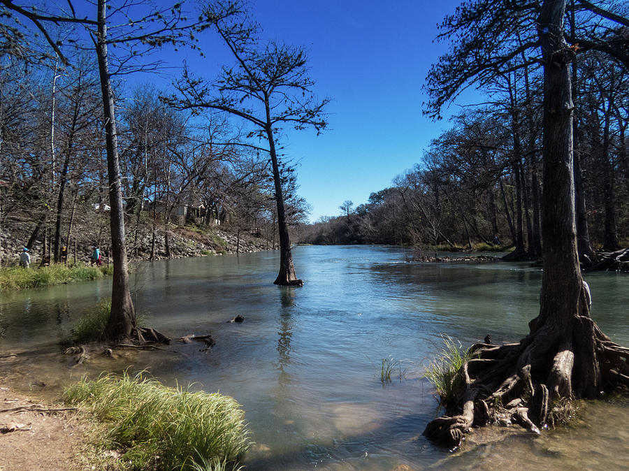 Guadalupe River Early January Photograph by JG Thompson - Fine Art America