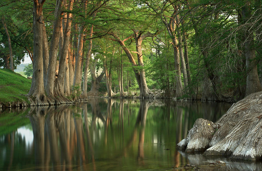 Tree Photograph - Guadalupe River Reflections by Paul Huchton