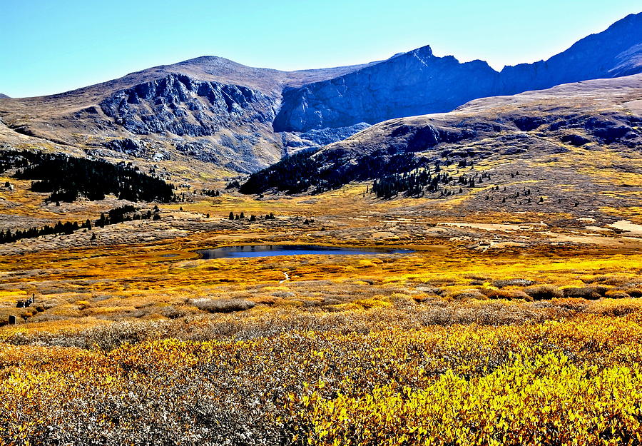 Guanella Pass in Colorado Fall Colors Photograph by Amy McDaniel