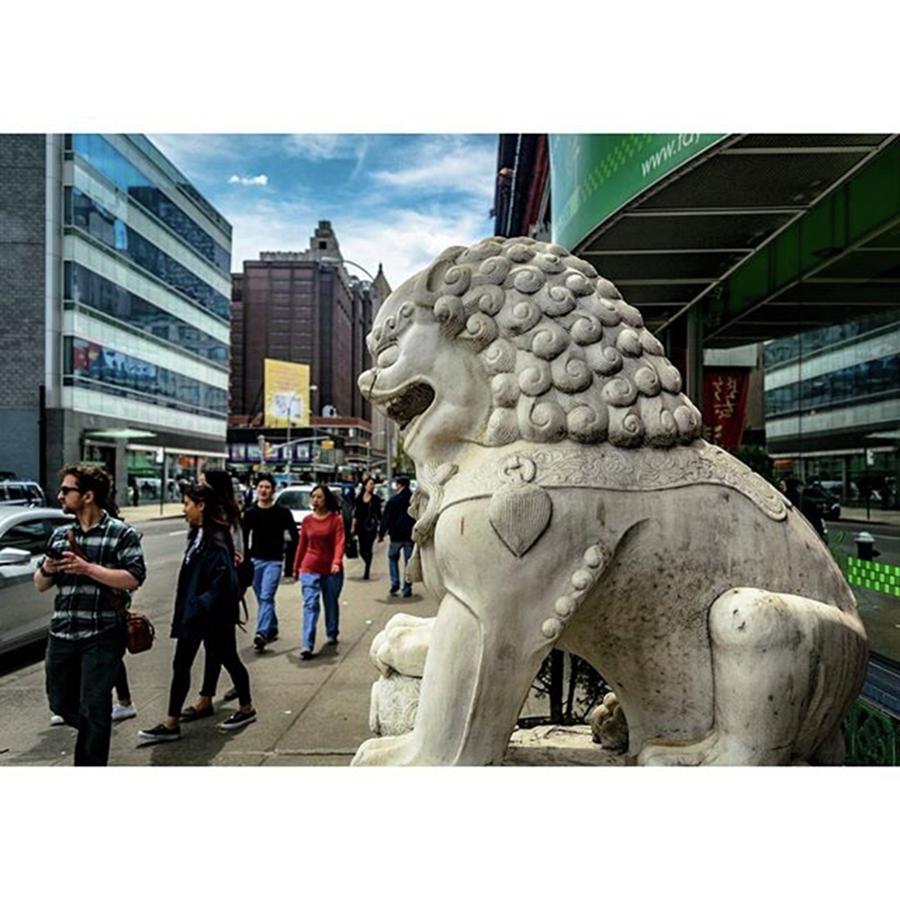 New York City Photograph - Guardian Lion #nyc #nikon #nikond3300 by AJS Photography