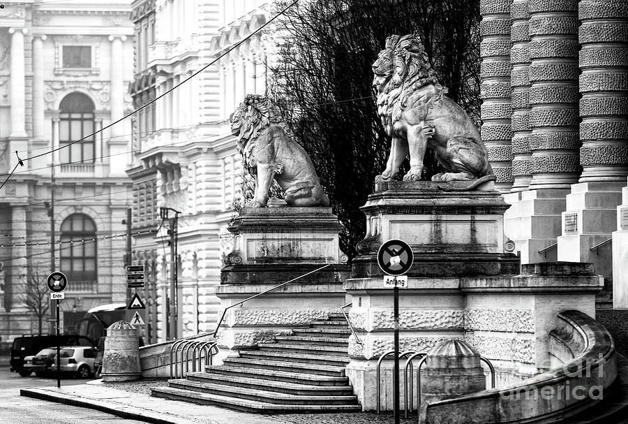 Guardian Lions in Wien Photograph by John Rizzuto