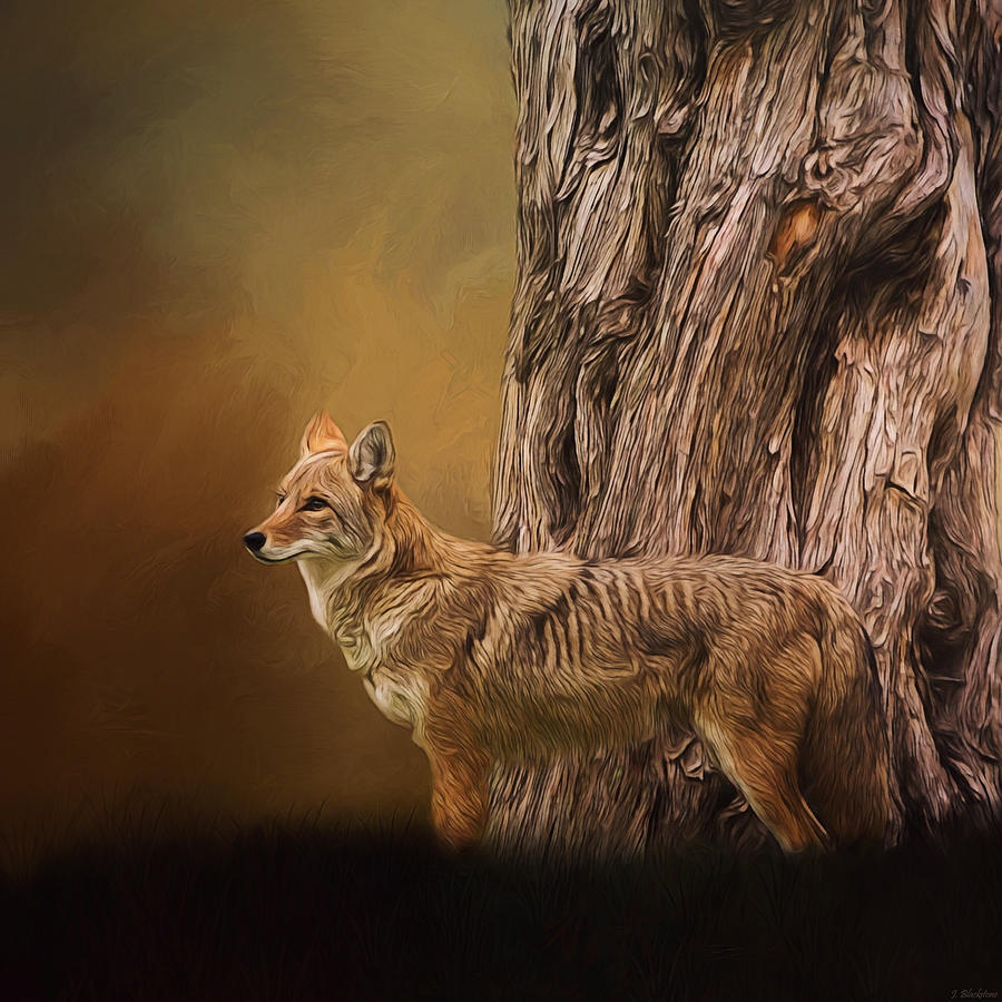 Guardian - Wildlife Art Painting by Jordan Blackstone