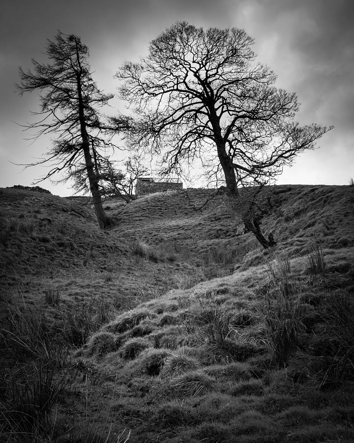 Black And White Photograph - Guardians by Chris Dale