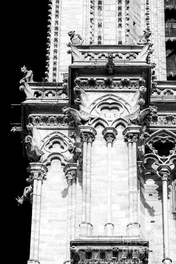 Guardians of Notre Dame Paris Photograph by John Rizzuto