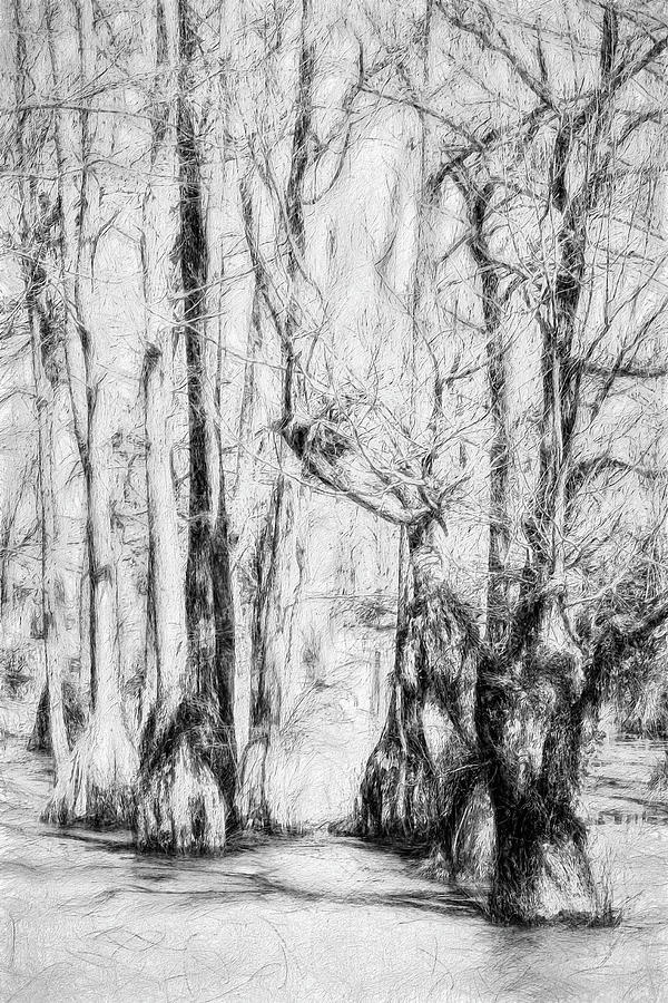 Guardians of the Cypress Swamp AP Painting by Dan Carmichael