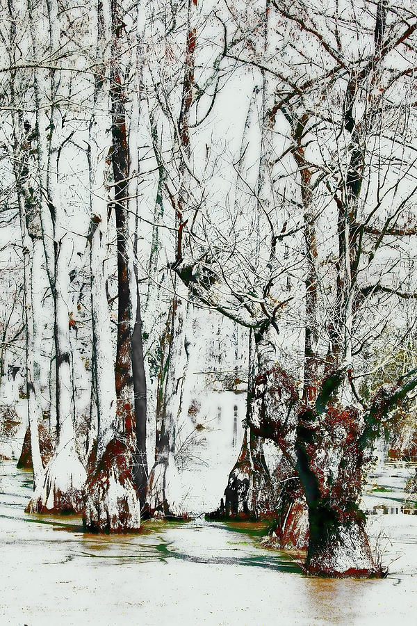 Landscape Digital Art - Guardians of the Cypress Swamp FX by Dan Carmichael