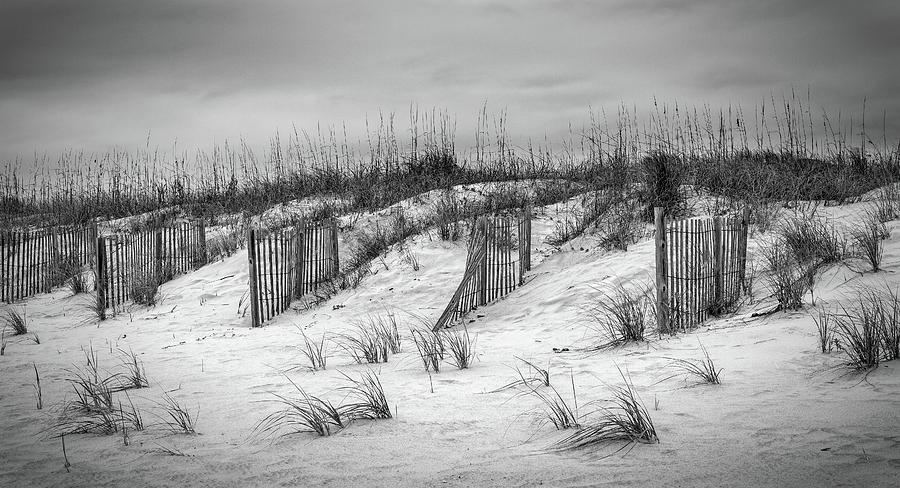 Guardians of the Dunes Photograph by Paul Malcolm