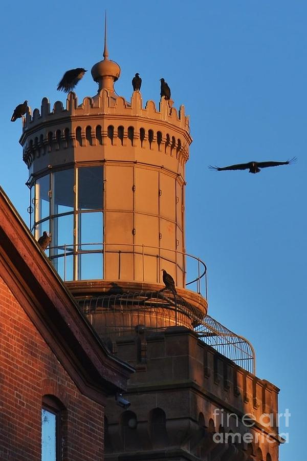 Guardians of the Tower Photograph by Joseph Perno