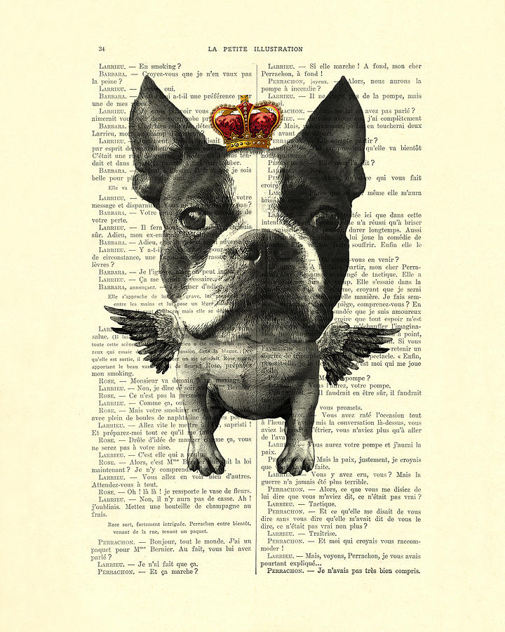 Queen Digital Art - Boston Terrier With Wings And Red Crown Vintage Illustration Collage by Madame Memento