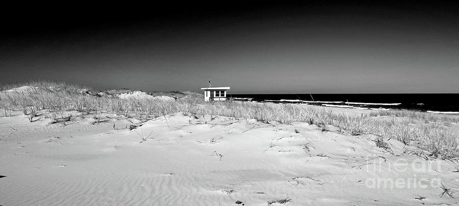 Guarding the Dunes in BW Photograph by Mary Haber