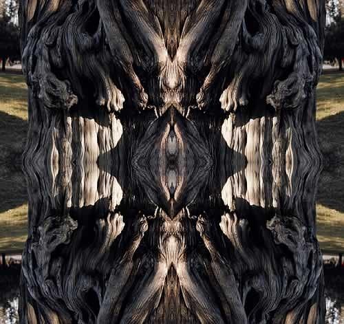 Meditation Mandala Photograph - Guarding the Nest by Kevin Gerien Meditation Mandala Photograph - Guarding the Nest by Kevin Gerien