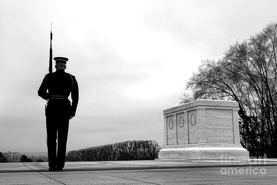 Guarding the Unknown Soldier Photograph by Olivier Le Queinec