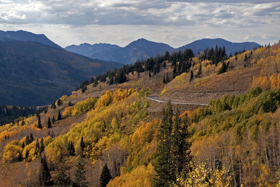 Guardsman Pass Photograph By James Larson   Guardsman Pass James Larson 