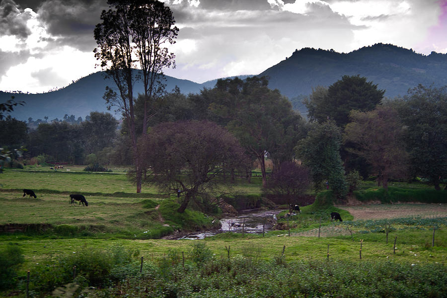Guatemalan Pastoral Scene Photograph by Douglas Barnett