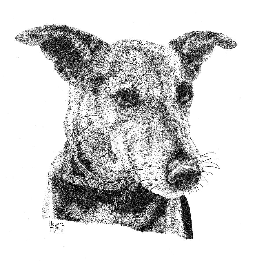 Dog Drawing - Gucci by Robert Morin