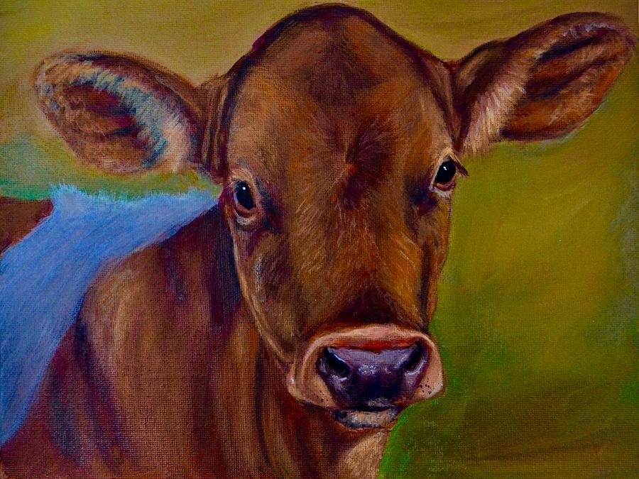 Cow Painting - Guernsey Calf by Darlene Pyle