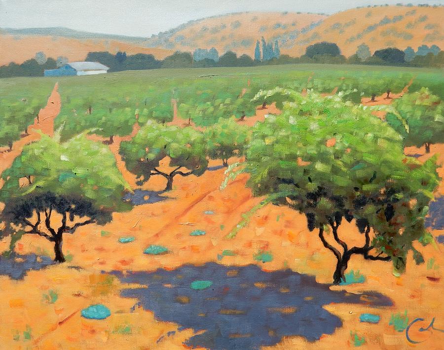 Grape Painting - Guglielmo Winery by Gary Coleman