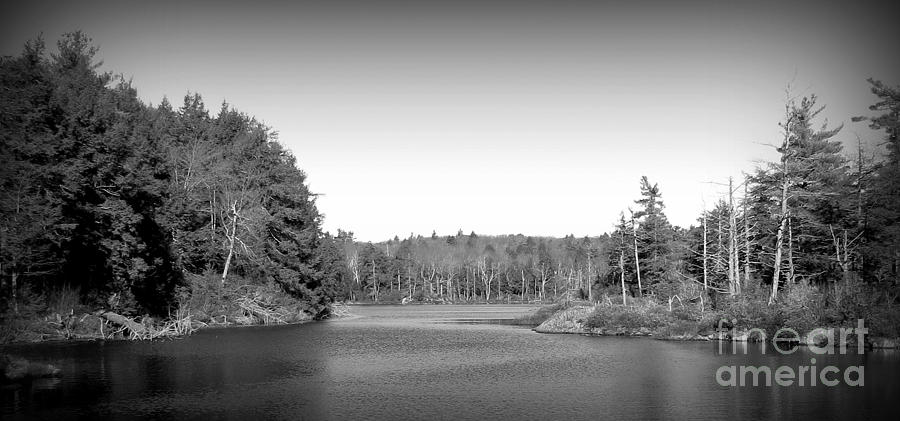 Guilder Pond Photograph