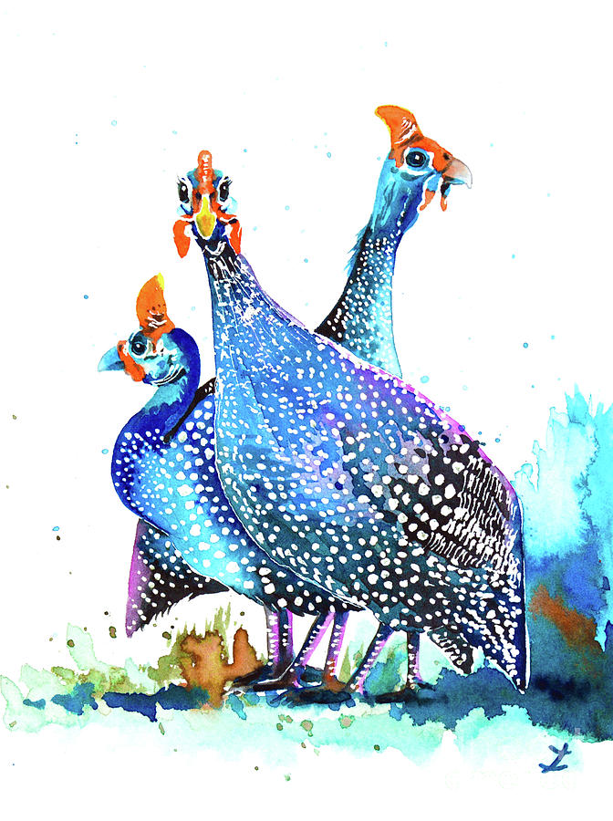 Guinea Fowls Painting by Zaira Dzhaubaeva