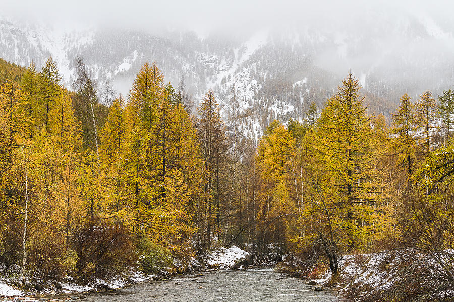 Guisane valley in Autumn - French Alps Photograph by Paul MAURICE
