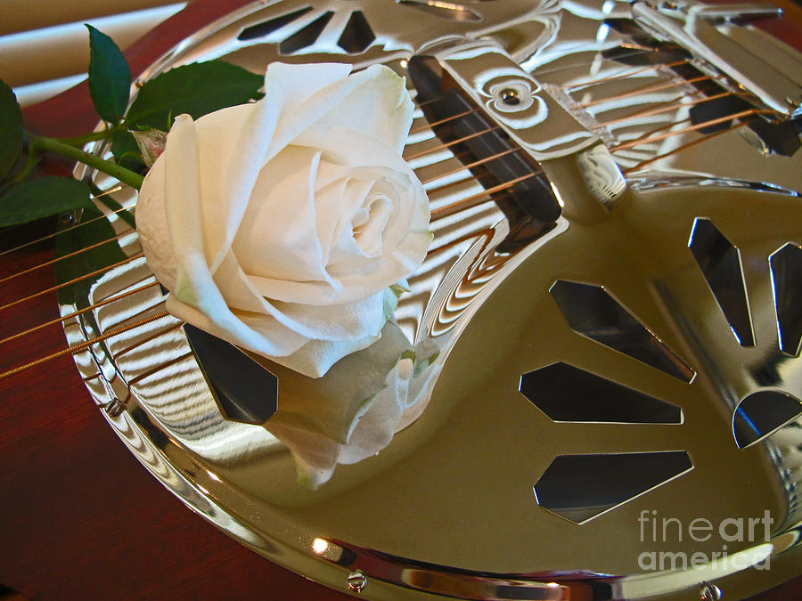 Guitar and Rose 1 Photograph by Kelly Holm