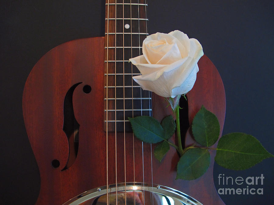 Guitar and Rose 2 Photograph by Kelly Holm