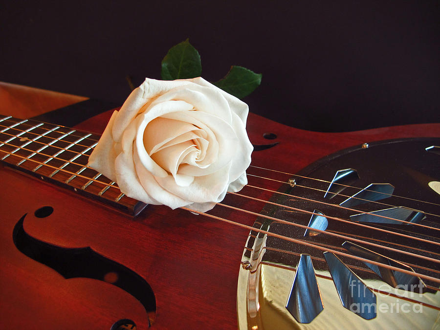 Guitar and Rose 3 Photograph by Kelly Holm