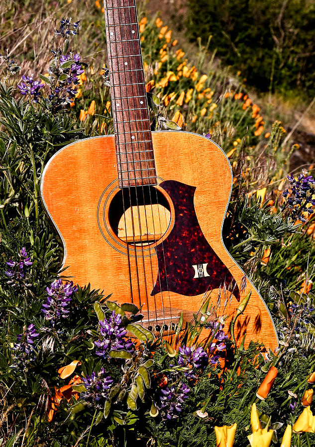 Guitar And Wildflowers Photograph by Athena Mckinzie