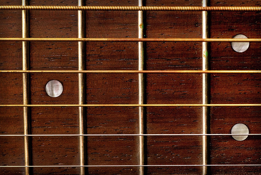 Guitar Fret Board Photograph