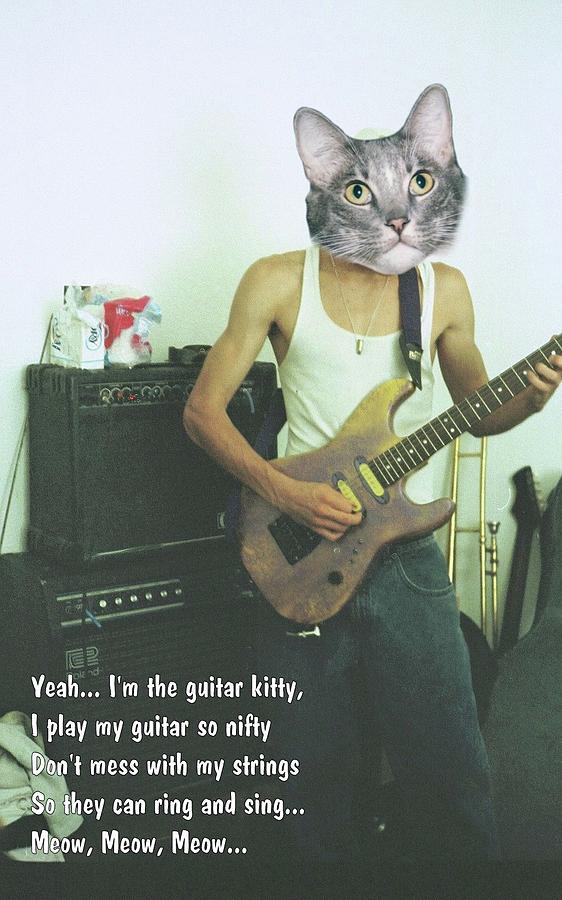 Guitar Kitty Photograph by Laura Smith