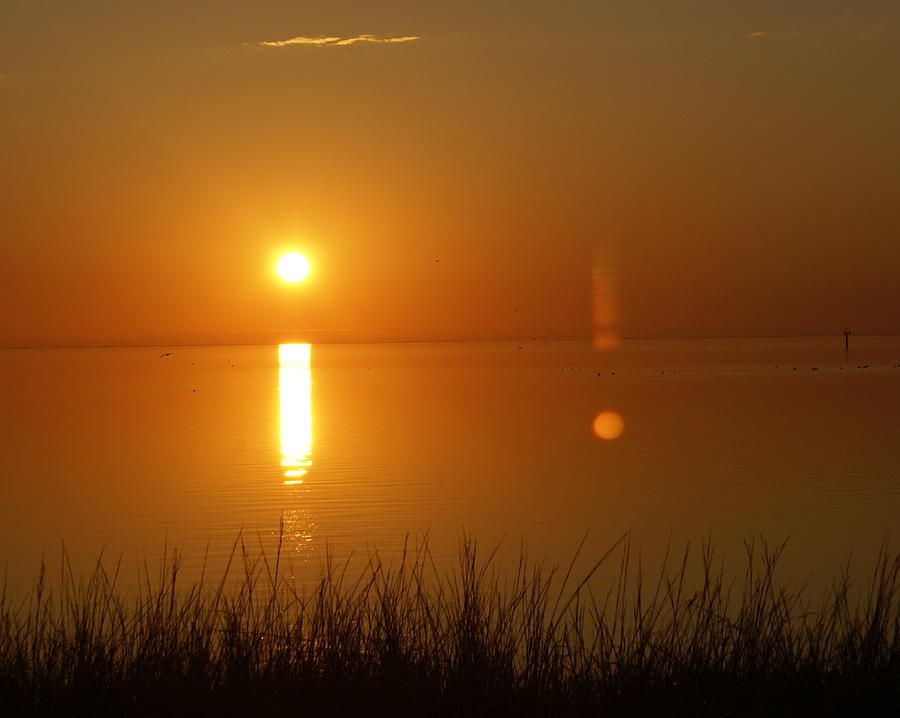 Gulf Coast Sunset Photograph by Marty Koch