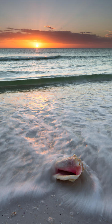 Gulf Coast Sunset  Photograph by Patrick Downey