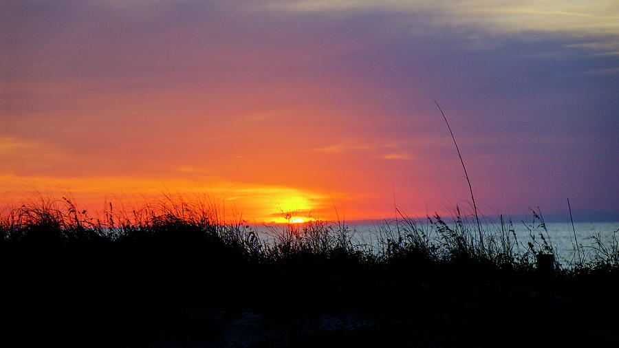 Gulf Coast Sunset Photograph by Steve Gravano