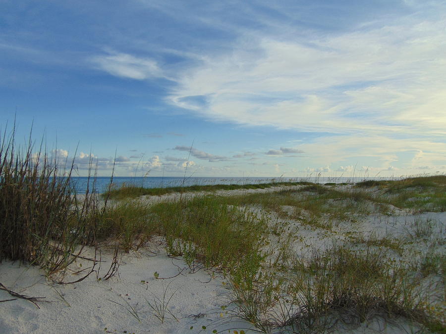 Gulf Islands National Seashore Photograph by Richie Parks