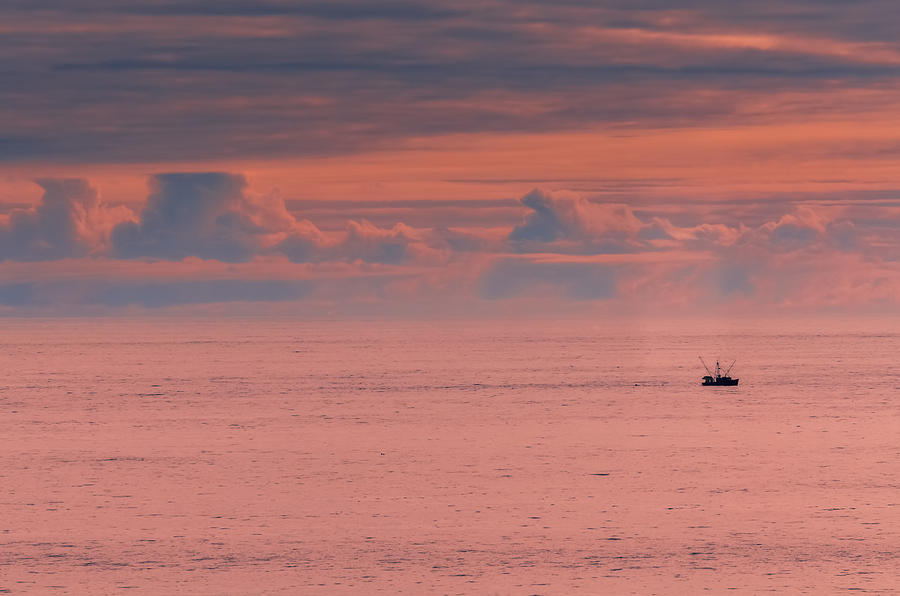 Sunset Photograph - Gulf Of Alaska Sunset  by SharaLee Art