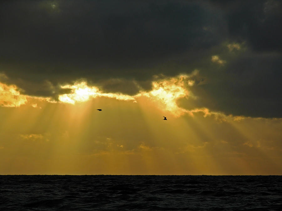 Gulf of Mexico Photograph by Juergen Roth