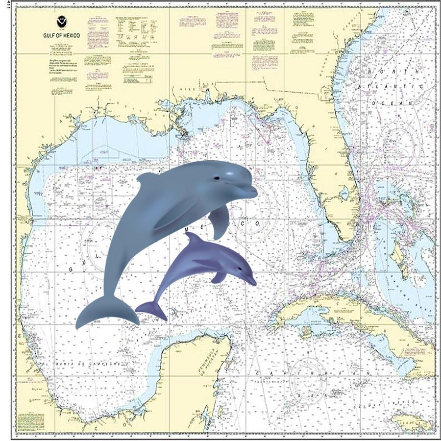 Gulf Of Mexico Nautical Mixed Media by Florene Welebny