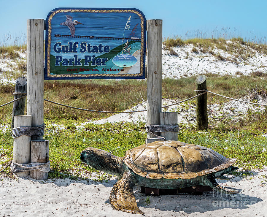 Gulf Shores Al Beach and Pier Turtle 1603a Photograph by Ricardos Creations