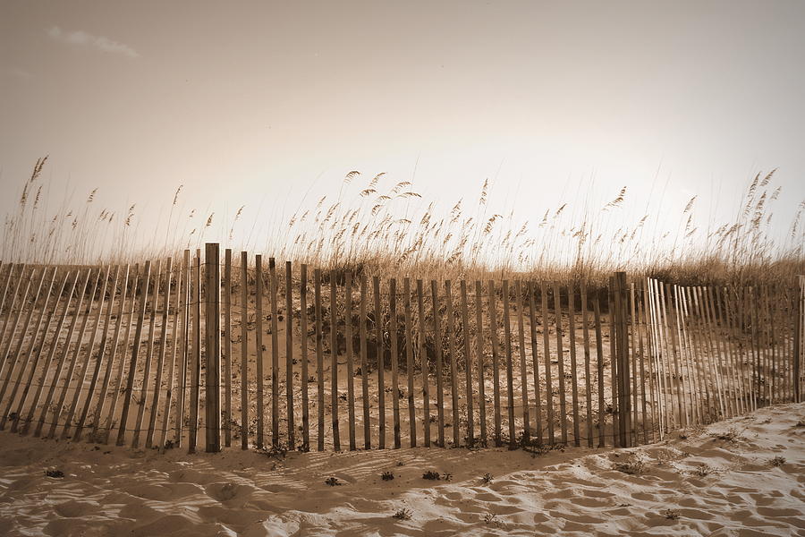 Gulf Shores Beach - Sepia Photograph by Beth Vincent