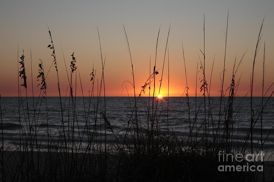 Gulf Sunset in Florida Photograph by William Kuta