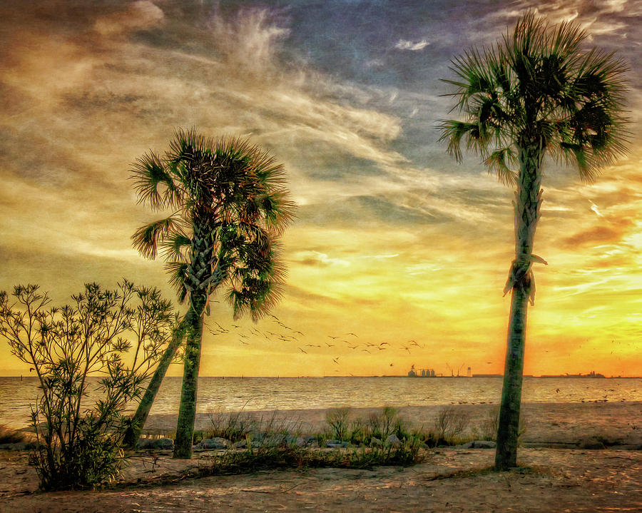 Gulfport Sunset Photograph by Sandra Schiffner