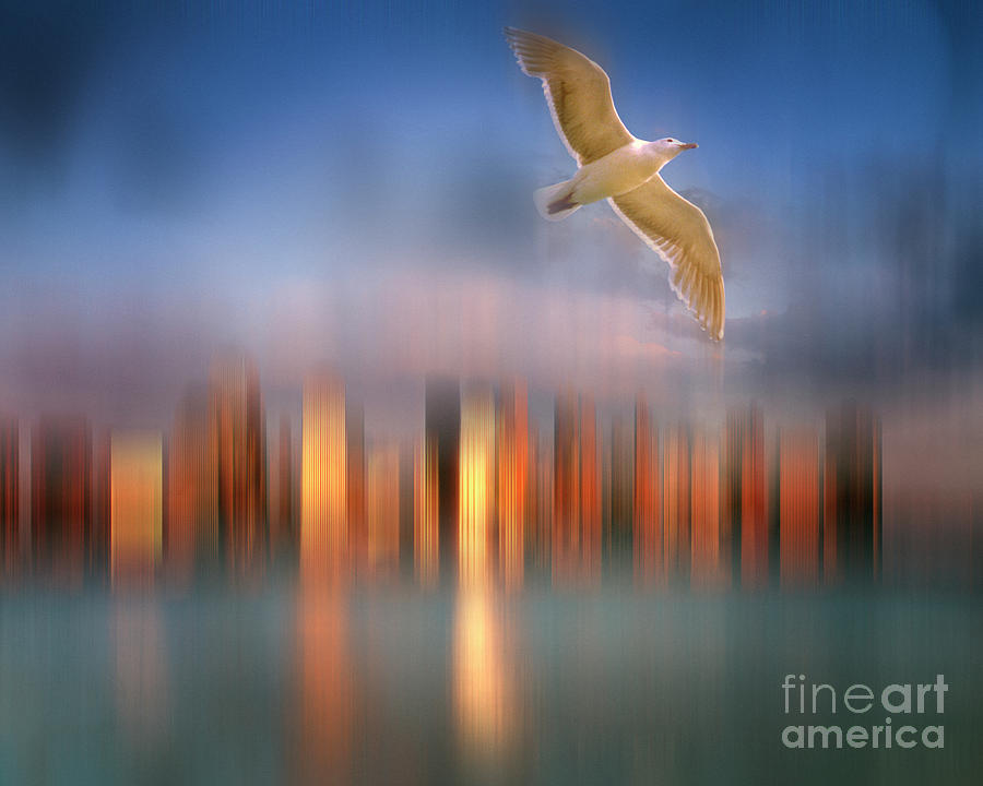 Seagull Digital Art - Gull Flight 587 by Edmund Nagele FRPS